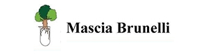 Наш партнер - компания Mascia Brunelli